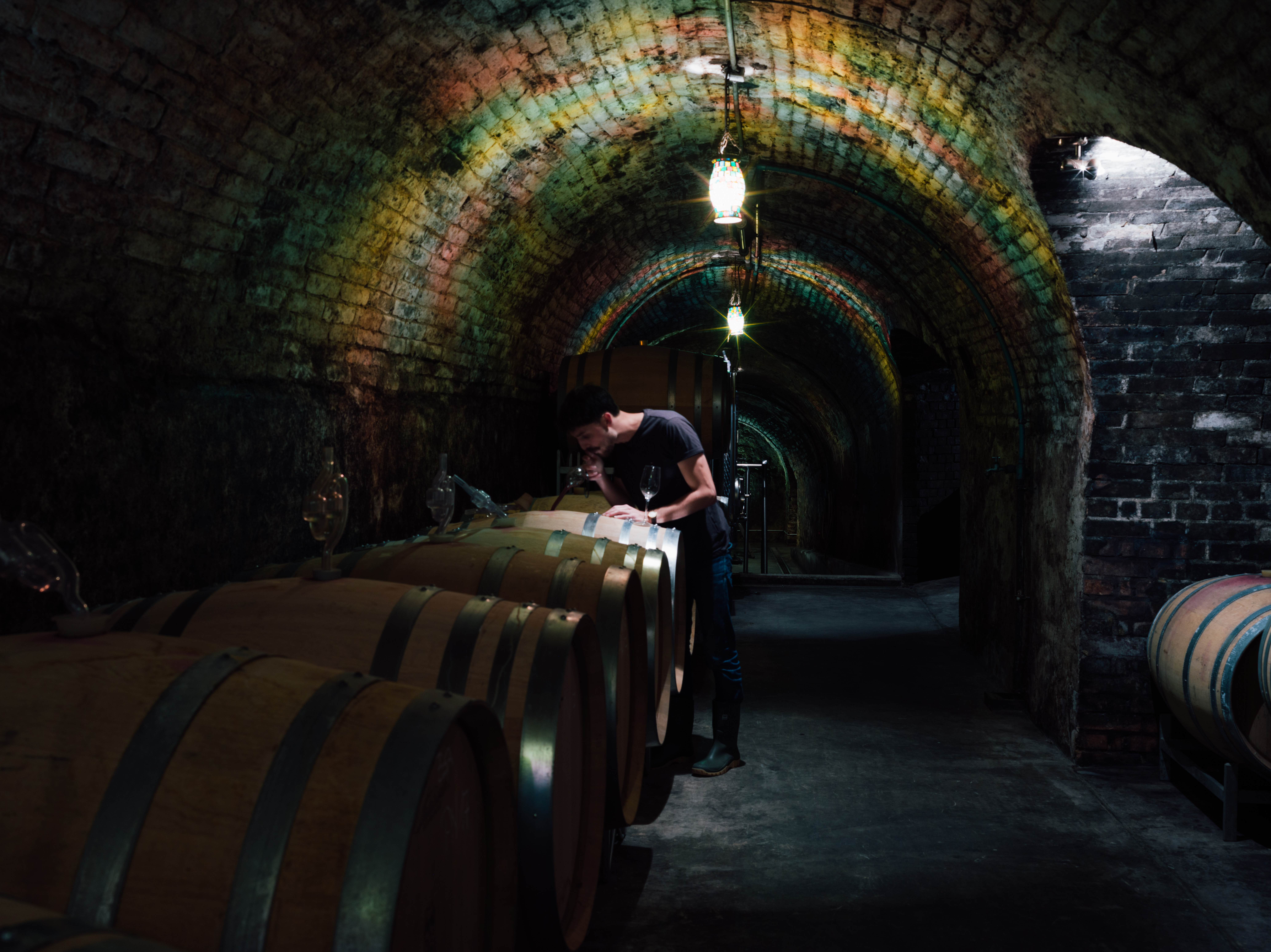 Hiedler Keller_by Julius Hirtzberger_2